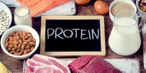 Protein ile Zayıflamak Mümkün mü?