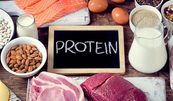 Protein ile Zayıflamak Mümkün mü?