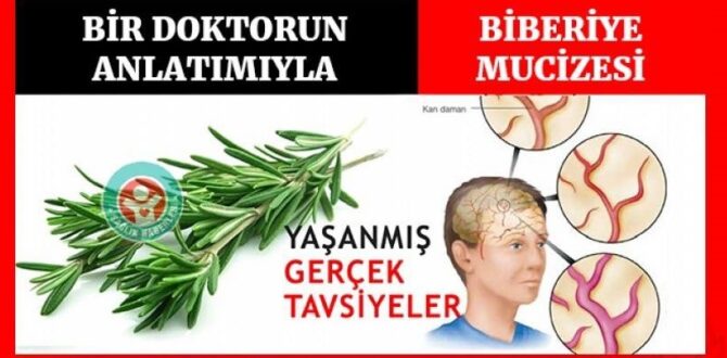 Bu bilginin bizzat bir uzman tarafından denenmiş olması
