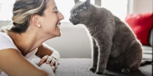 Kediniz nefesinizi ba’kın neden kokluyor!