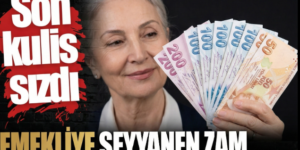2026 Emekli Zammı Rehberi: