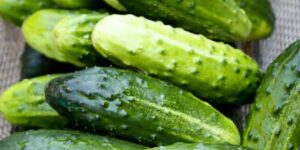 Doktorlar salatalık yemenin neden olduğunu açıkladılar…