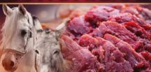 Bu markalardan uzak durun dana eti diye eşek eti yedirmişler!