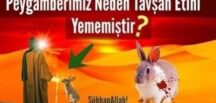Tavşan eti yememiz helal midir yoksa haram mıdır işte c’evabı