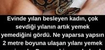 Bu yılan, onun için sadece bir evcil hayvan değil, aynı zamanda bir dosttu