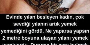 Bu yılan, onun için sadece bir evcil hayvan değil, aynı zamanda bir dosttu