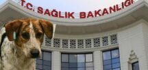 Karar bugün alındı yarından itibaren 81 iIin tamamında y’asak!
