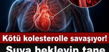 Ko’tü kolesterolü sıfırlıyor! Suya bekleyip tane tane yiyin, tıkalı damarları hortum gibi açıyor.