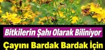 Doğal ağrı k’esici ve i’ltihap sökücü!