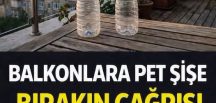 Balkona pet şişe bırakın çağrısının meğer sebebi ba’kın neymiş…